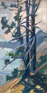 Crater Lake Trees